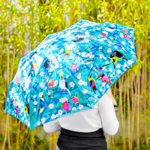 Compact umbrella - Parapli