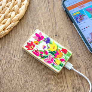 Portable battery 5000mAh - Get The Power 4