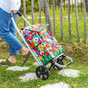 Carrito de la compra - Trolly