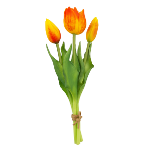 Set of 3 tulips - Tulipes