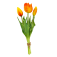 Set of 3 tulips - Tulipes