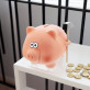 Moneybox - Cochonnet