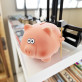 Moneybox - Cochonnet