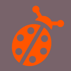 Coccinelle Orange